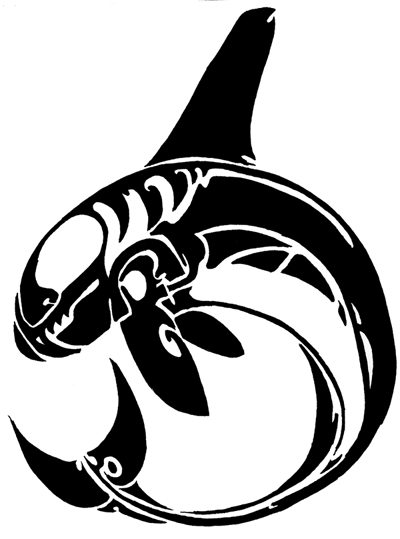 1000+ images about orca | Traditional, Cas and Ink