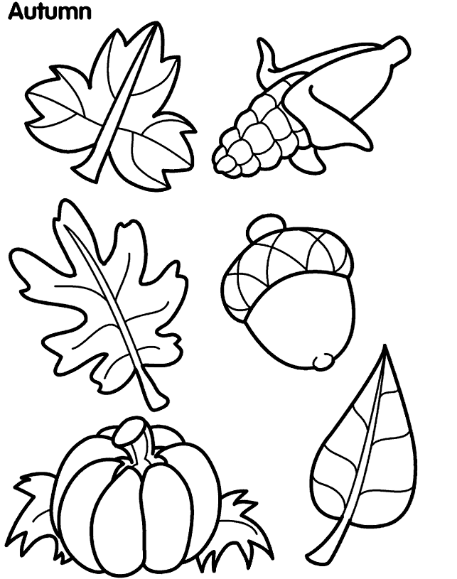 Large Leaf Template - AZ Coloring Pages