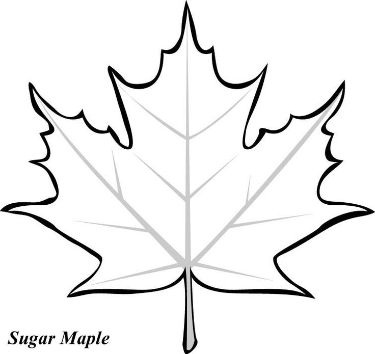 Leaf Template | Leaf Patterns ...