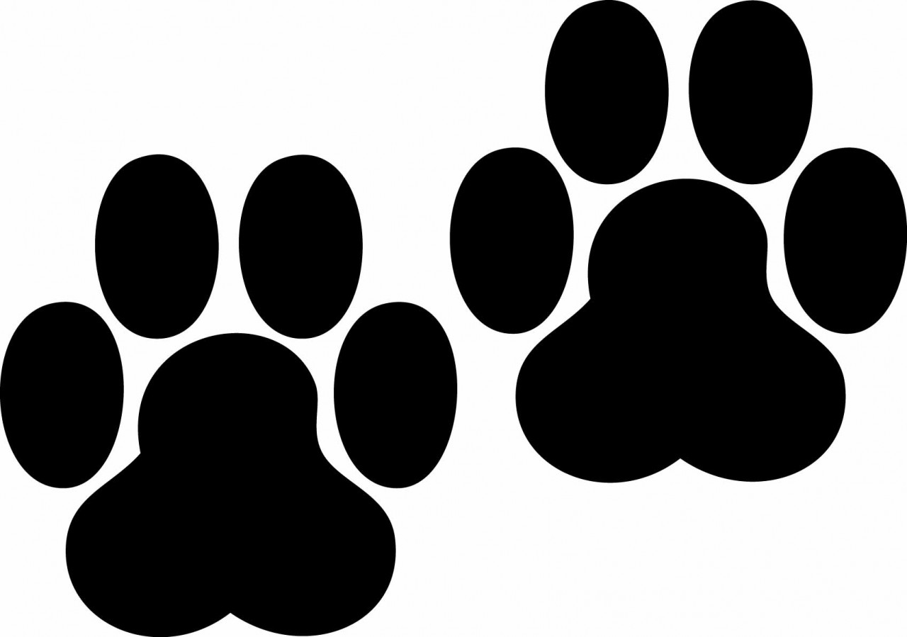 Paw Clipart