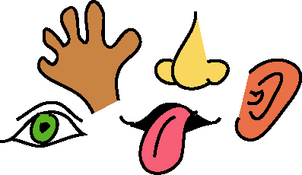 Five Senses Clip Art - Tumundografico