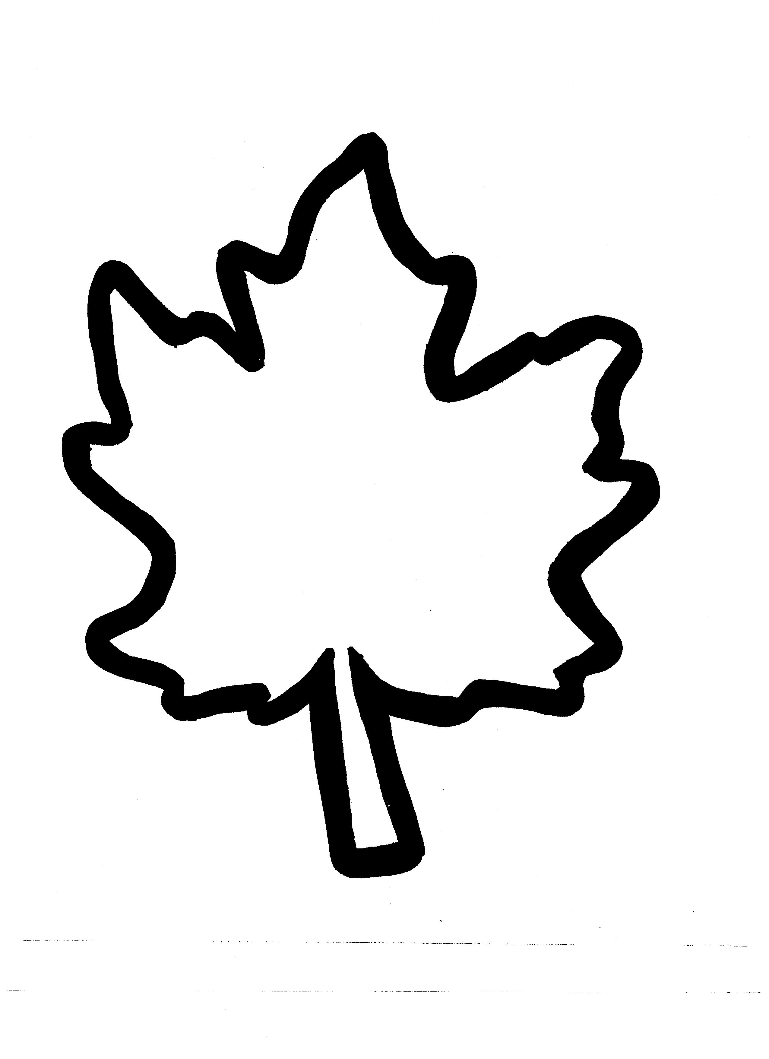 Autumn Leaf Outline