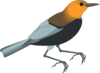 Bird Clip Art