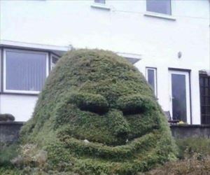 the bush is happy