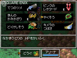 Dragon Quest IV DS