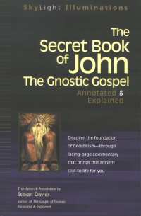 The Secret Book of John, by Stevan Davies