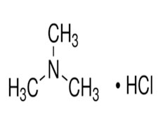 TRIMETHYLAMINE HYDROCHLORIDE