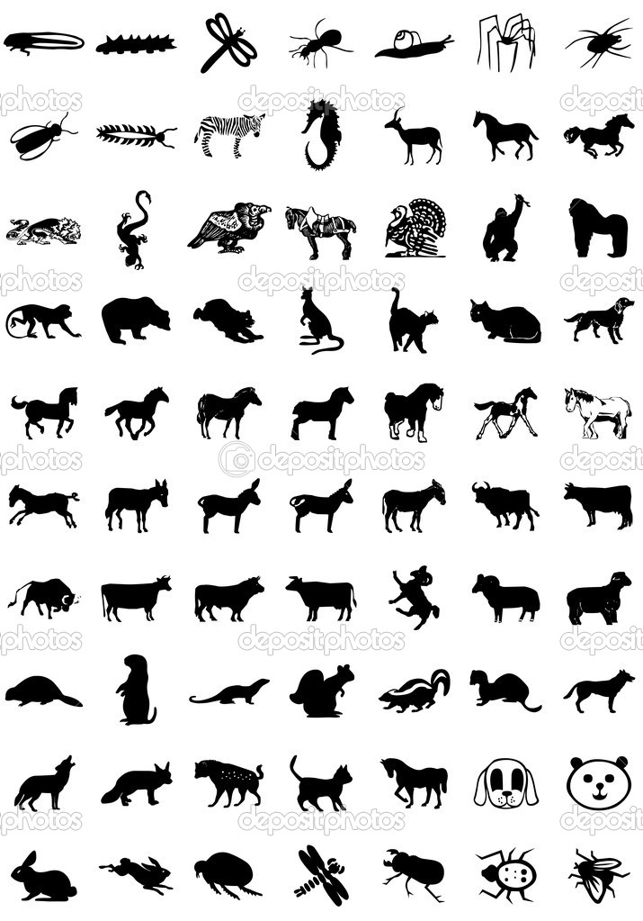 16 Icon Animal Species Images