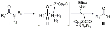 Scheme 1. Reduction Mechanism