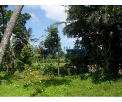 Good Investment Opportunity Land from Habaraduwa