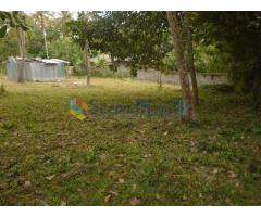 Land for sale in Kurunegala- Mallawapitiya