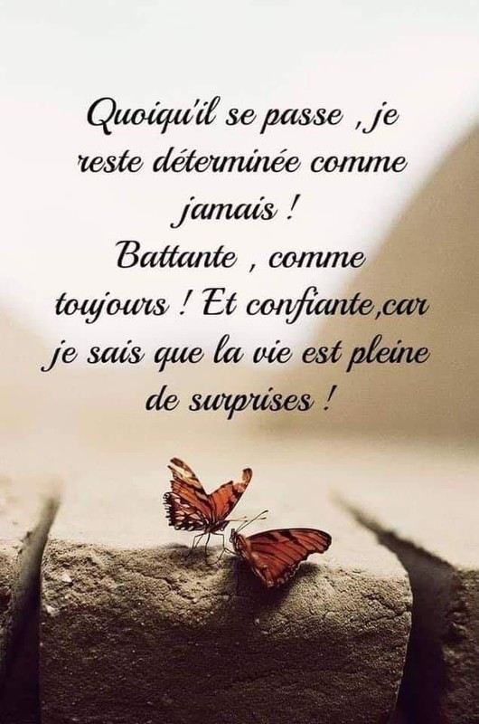 BELLE PHRASE