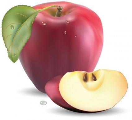 Realistic fruit 05 vector