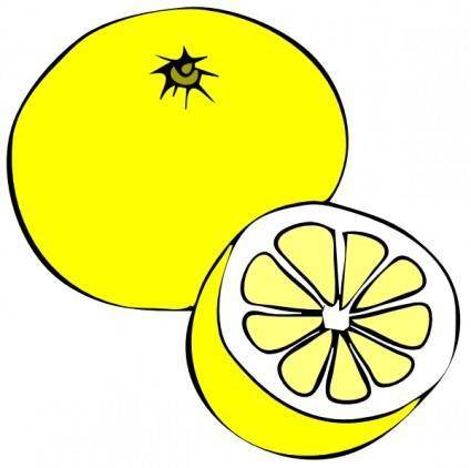 Grapefruit clip art