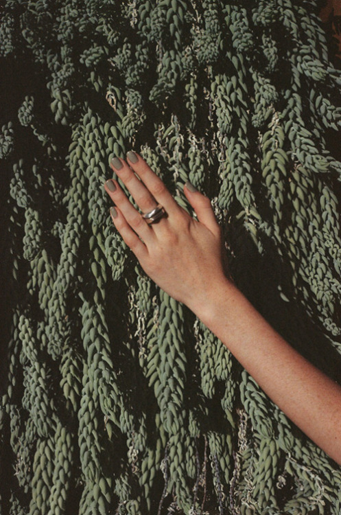 toddjordan:
“ hand and tail for the plant journal. hudson. august 2011.
”