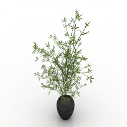 Plant 3D Model