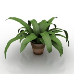 Plant 3D Model