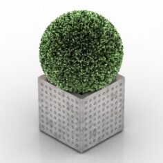 Plant 3D Model