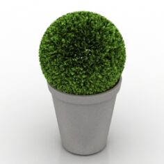 Plant 3D Model