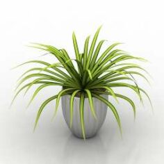 Plant 3D Model