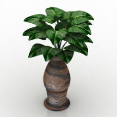 Vase 3D Model