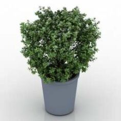 Plant 3D Model