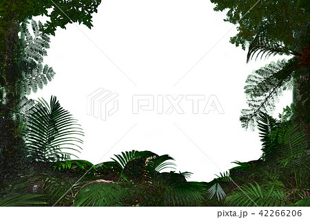 Jungle material - Stock Illustration [42266206] - PIXTA