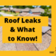 roof leaks