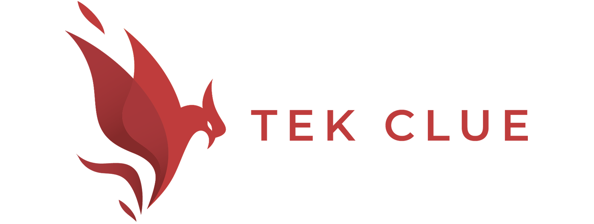 TekClue