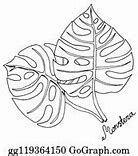 Image result for Monstera Plant Leaf Clip Art