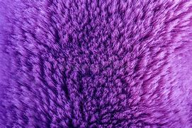 Image result for Beige Fur Material