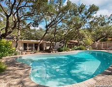 Image result for Cedar Elm Tree Texas