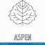 Image result for Aspen Leaf Outline Sticker