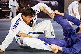 Image result for Jiu-Jitsu Moves