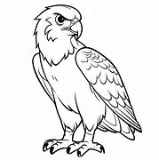 Image result for Falcon Flying Coloring Pages