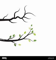 Image result for Branch Vector Simple Silhouette