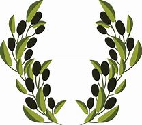 Image result for Olive Branch Vector