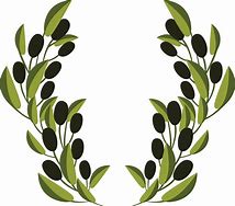 Image result for Curved Olive Branch Green Clip Art