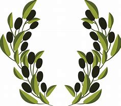 Image result for Olive Branch Vector Art PNG