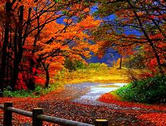 Image result for Best Fall Desktop Wallpapers