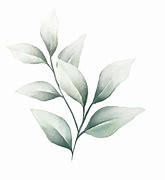 Image result for Watercolor Leaves Background Wallpaper Microsoft