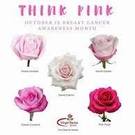 Image result for Pink Rose Names