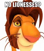 Image result for Funny!!! Lion Quotes