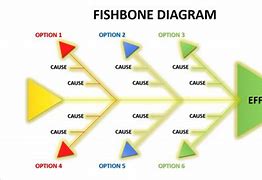 Image result for Fishbone Diagram How To