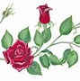 Image result for Pink Rose Vine Clip Art