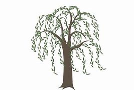 Image result for Willow Tree Clip Art