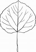 Image result for Aspen Leaf Silhouette