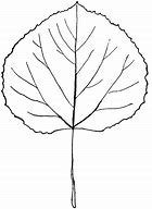 Image result for Aspen Leaf Outline Sticker