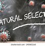 Image result for Natural Selection Clip Art