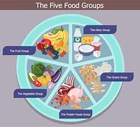 Image result for Food Groups Drawing